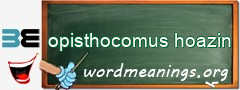 WordMeaning blackboard for opisthocomus hoazin